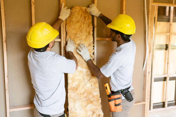 Best Attic Insulation Installation  in Northlakes, NC